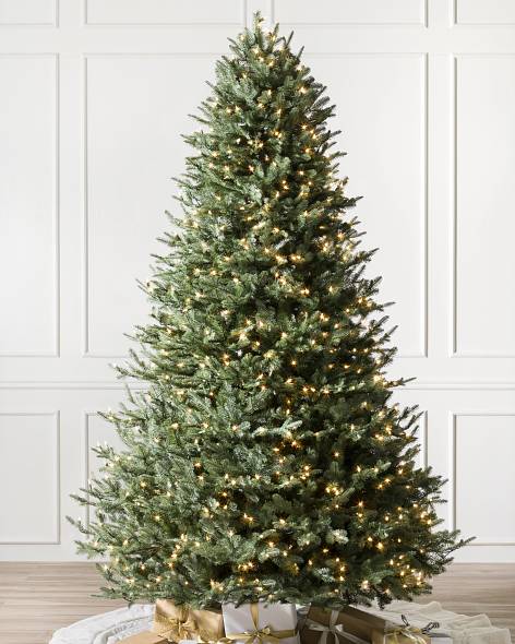 BH Balsam Fir Tree Main Image