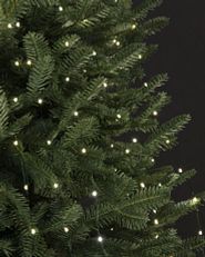 LED fairy light string strands on tree