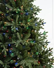 Nahaufnahme eines Weihnachtsbaums mit mehrfarbigen Lichtern