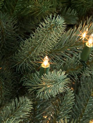 About Balsam Hill & Our Christmas Trees | Balsam Hill