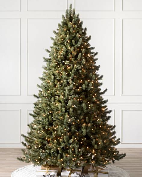 Vermont White Spruce Tree-7
