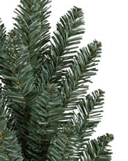 close-up shot of Balsam Hill Blue Spruce branches
