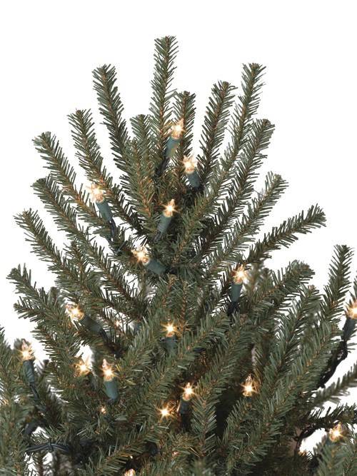 Balsam Hill Potted Baby Spruce by Balsam Hill