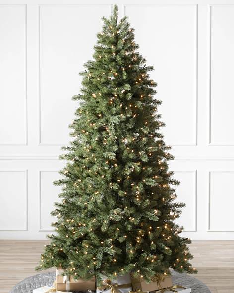 Woodland Spruce-1