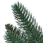 Oakville Narrow Outdoor Christmas Tree | Balsam Hill