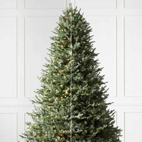 beleuchteter oder unbeleuchteter Weihnachtsbaum