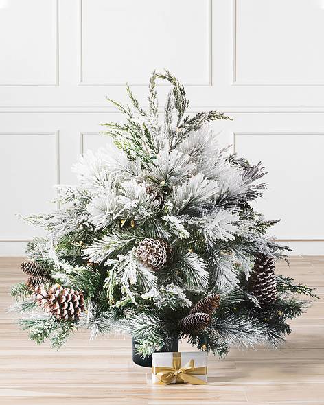 Outdoor Frosted Evergreen Main