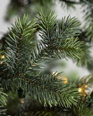 multi-toned green Christmas tree needles