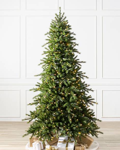 Norwegian Grand Fir Main