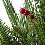 Pine Peak Potted Foliage PDP Foliage