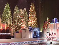 欧宝体育comBalsam Hill的高度逼真的人造圣诞树和永恒的节日décob视讯官网or使我们成为您最喜欢的节目的场景设计师的首选，包括艾伦，CMA乡村圣诞节，医生，斯蒂芬·科尔伯特的深夜秀，等等。