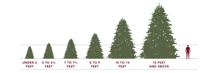 artificial Christmas tree sizes in comparison to human height infographic