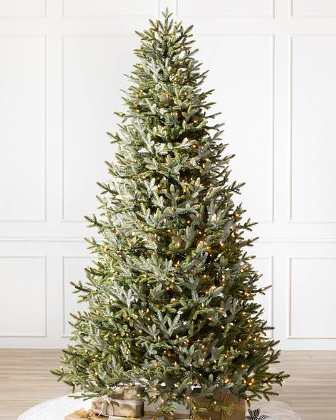 BH Fraser Fir Narrow Tree-1