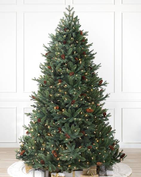 St. Moritz Spruce Main