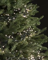 Micro LED light string strands on tree