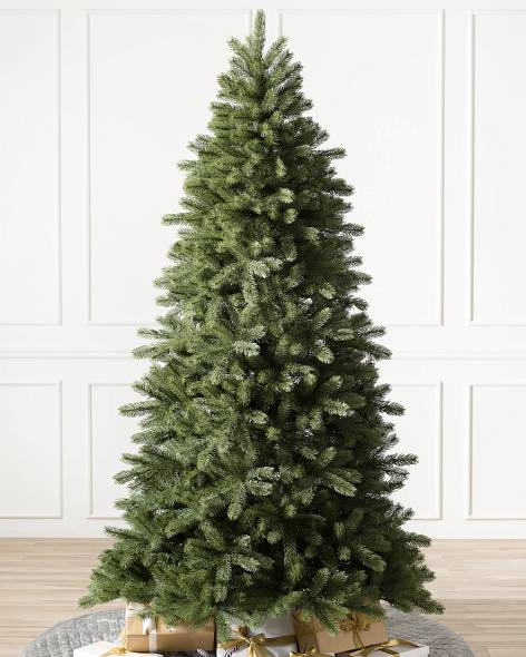 Woodland Spruce- child-1