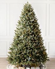 A full-shaped Balsam Hill Fraser Fir artificial Christmas tree