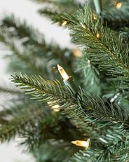 close-up of clear LED lights on tree
