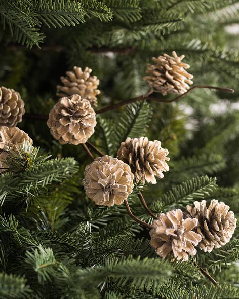 Winter Pinecone Picks, Set of 12 Main