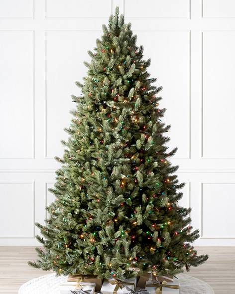 Vermont White Spruce Tree
Main Image