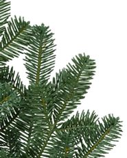  close-up of the Balsam Hill BH Balsam Fir foliage