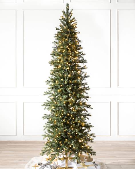 Cathedral Fir Tree-1