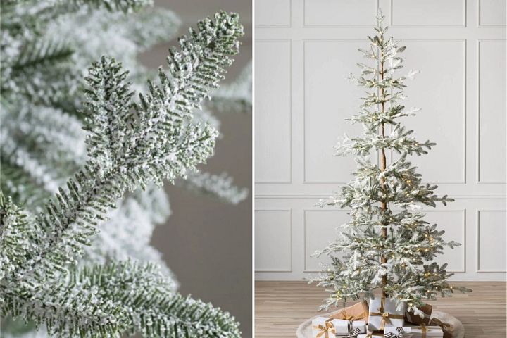 close-up and wide shots of Balsam Hill Frosted Alpine Balsam Fir realistic Christmas tree
