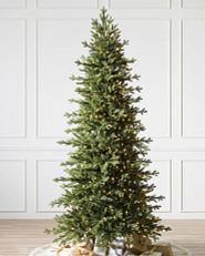 slim Christmas tree