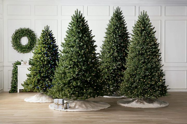6 feet christmas tree clearance