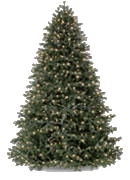 üppiger Weihnachtsbaum