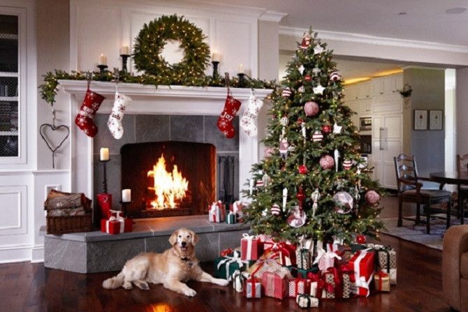 How to protect your Christmas presents from your dogs