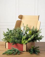 box of assorted artificial Christmas tree branch clippings
