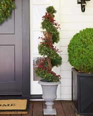 spiral Christmas topiary in a decorative pot