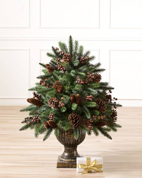 California Redwood Potted Foliage Main