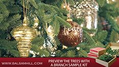 Balsam Hill™ trees, wreaths and garlands have been featured in many popular TV shows such as The Today Show, Ellen, Good Morning America, Celebrity Holiday Homes and more.