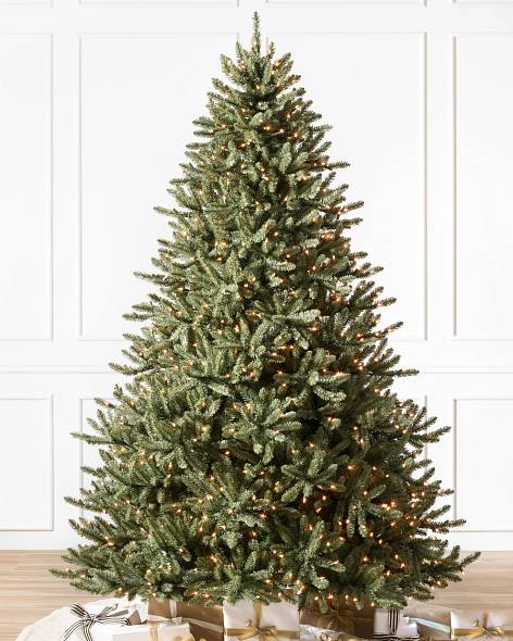 Classic Blue Spruce Tree-1