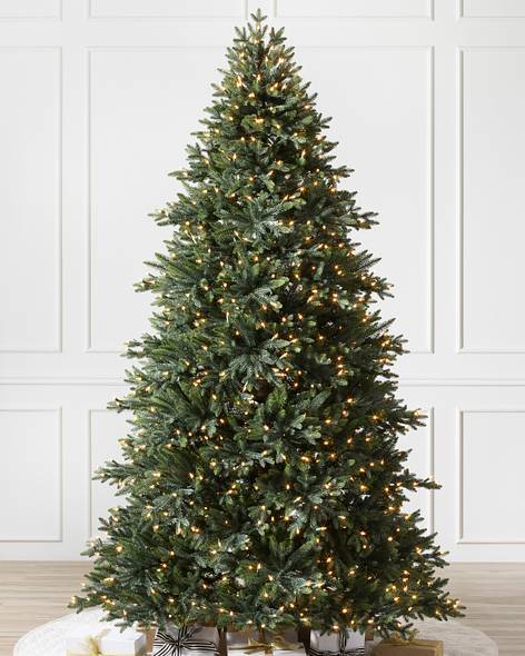 Colorado Mountain Spruce Flip -1