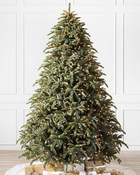 Noble Fir Main