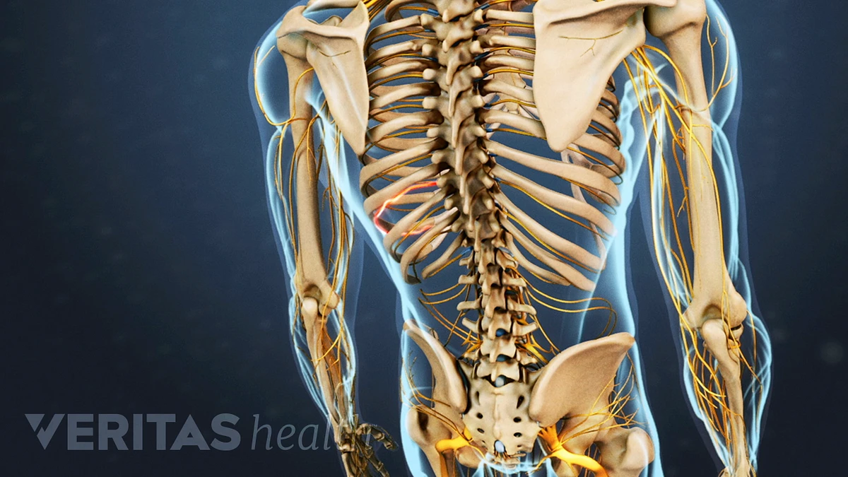 Upper Back Pain Symptoms