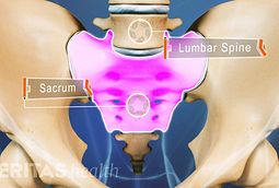 All about the L4-L5 Spinal Segment