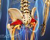 Vidéo sur le syndrome du piriforme Le piriforme est un petit muscle situé profondément dans la fesse, derrière le grand fessier.