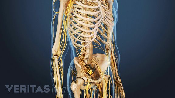 Ankylosing Spondylitis Video