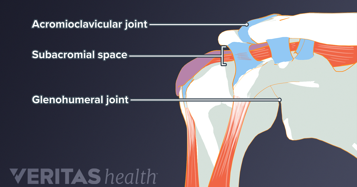 Subacromial Space Definition | Sports Injury-Related Medical Glossary