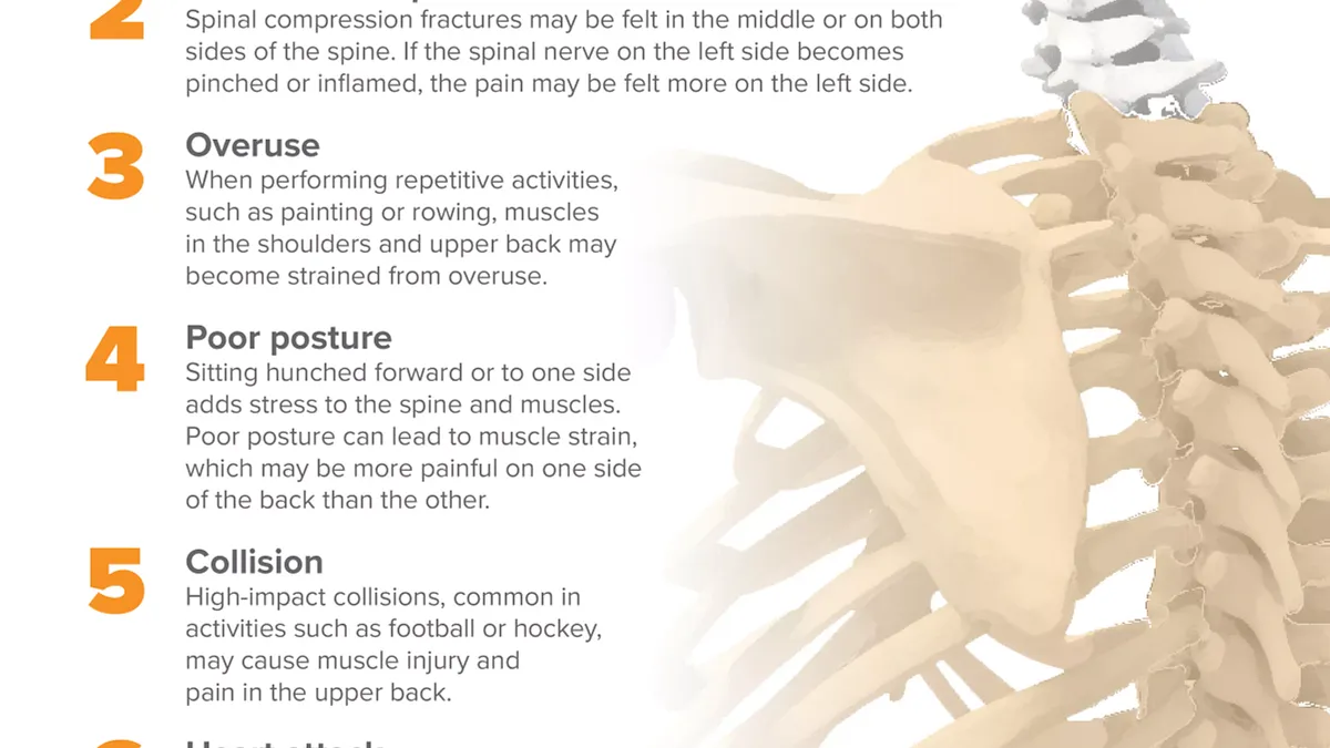 7 Causes of Pain in the Upper Left Back Infographic
