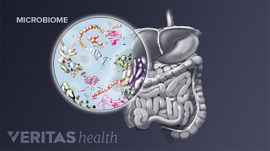 Crohn's and Ulcerative Colitis › Gastrox Frankston.
