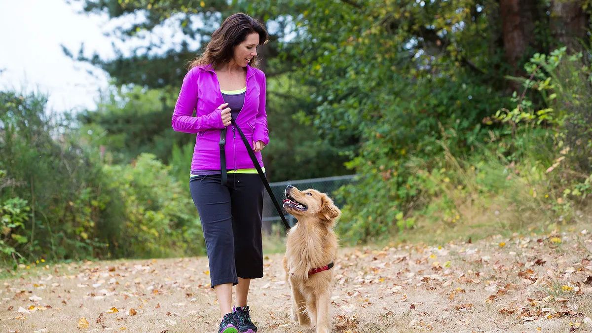 should you walk a dog with arthritis