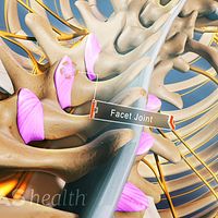 Anklyosing Spondylitis