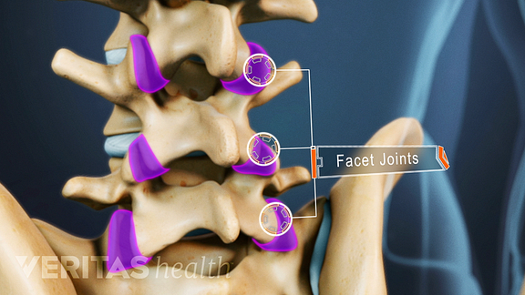 Facet Joints with Text