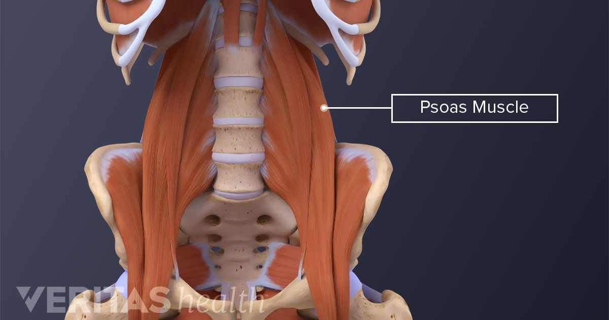 The Essential Role Of The Psoas Muscle