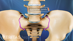 Sacroiliac joint dysfunction is responsible for 15% to 30% of lower back pain cases